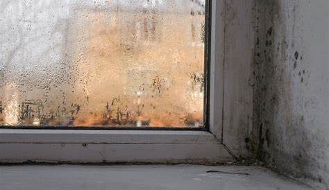 Problème de condensation sur les murs 3 pistes pour le