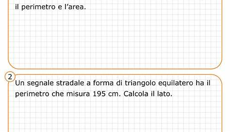 Risolvi problemi di Geometria con un Tutor - Mondo Lezioni