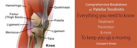 problems with knee tendons