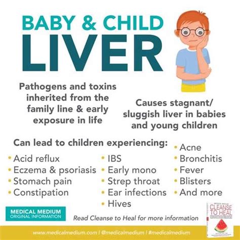 Problems With Liver In Babies