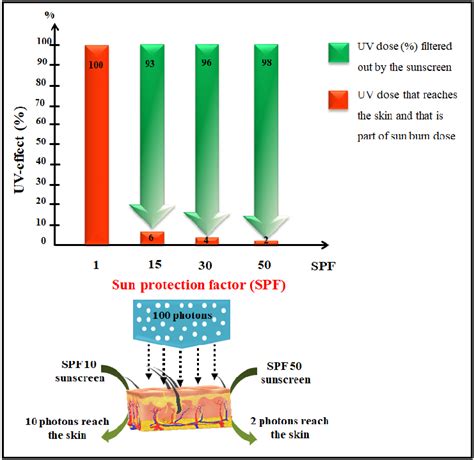 Procedure For Sun Protection Factor