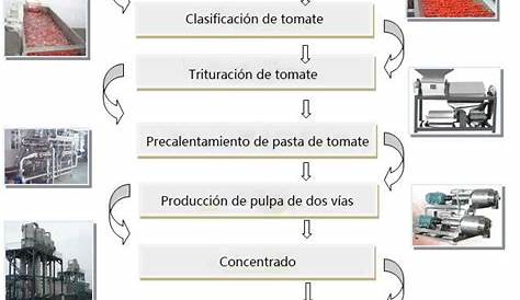Proceso De La Fabricación De La Salsa De Tomate Ilustración del Vector