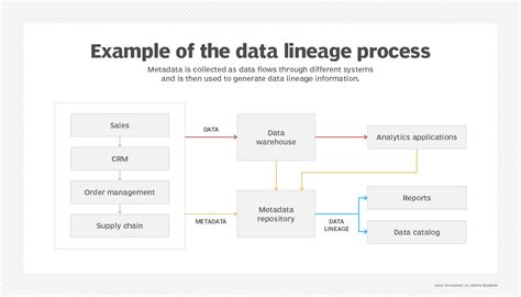 process lineage analysis