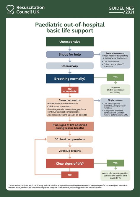 process of basic life support