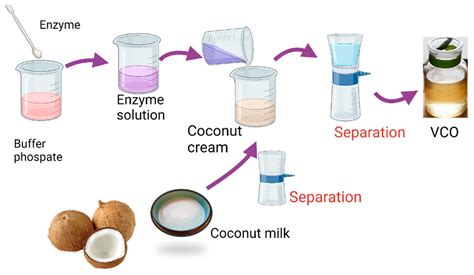 Processing Methods for Solid Coconut Oil