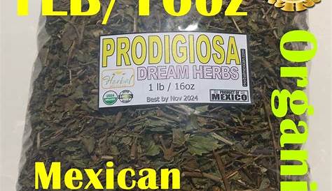 Prodigiosa Benefits Wildcrafted Bulk Herbs Evergreen