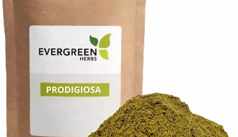 Prodigiosa Benefits Wildcrafted Bulk Herbs Evergreen