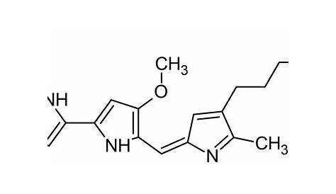 Prodigiosin Kolonien Von Produzieren Des Bakteriums