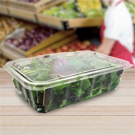 Produce Containers Disposable