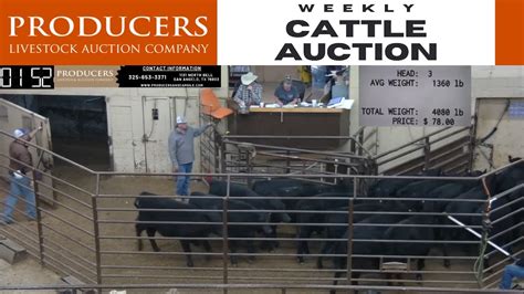 producers livestock auction texas