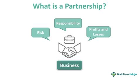 Producing Partner Definition