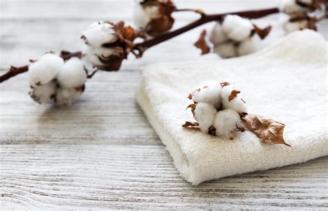 products made with cotton