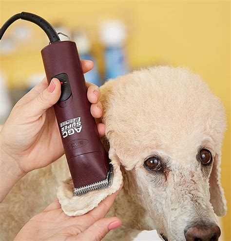Best 5 Dog Clippers for Poodles