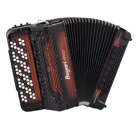 professional accordion for sale