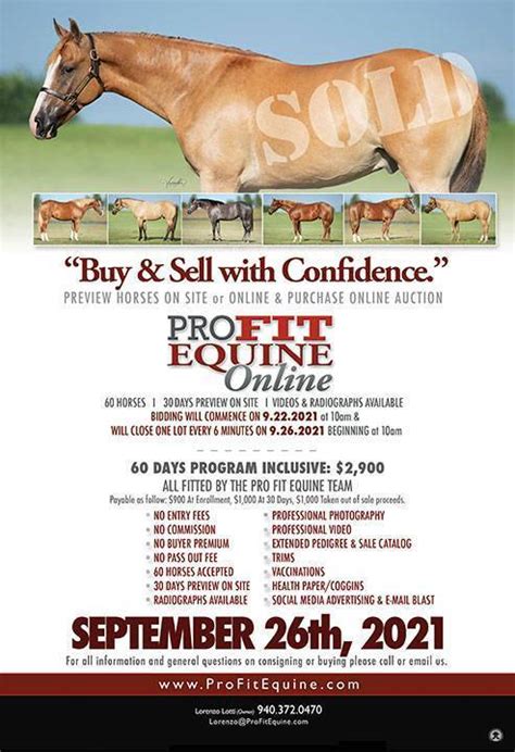 professional auction services horse