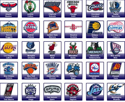 professional basketball teams in usa