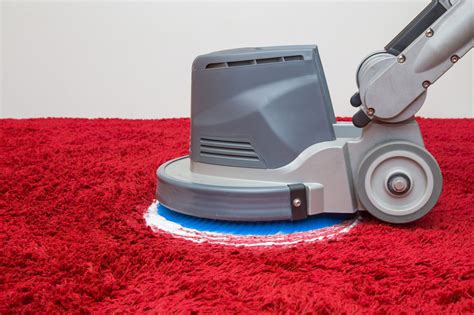 professional carpet cleaning stirling