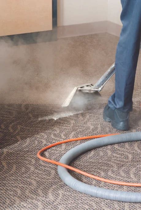 home.furnitureanddecorny.com:professional carpet cleaning willmar mn