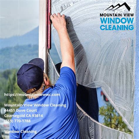 professional cleaning mountain view ca
