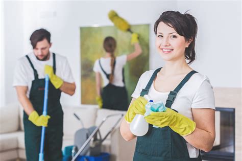 professional cleaning service