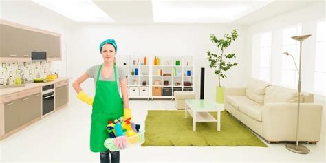 professional cleaning washington