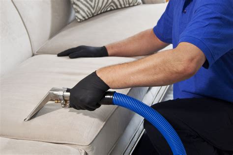 professional couch cleaning services