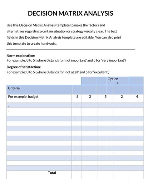 49 BEST Decision Matrix Templates (Word & Excel) ᐅ TemplateLab
