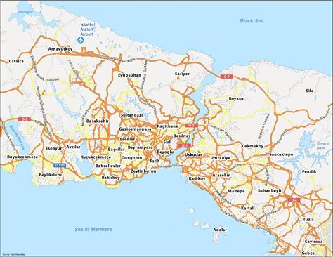 professional driver map istanbul