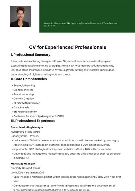 professional experience in cv examples