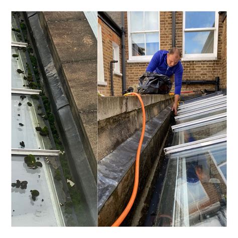 professional gutter cleaning services