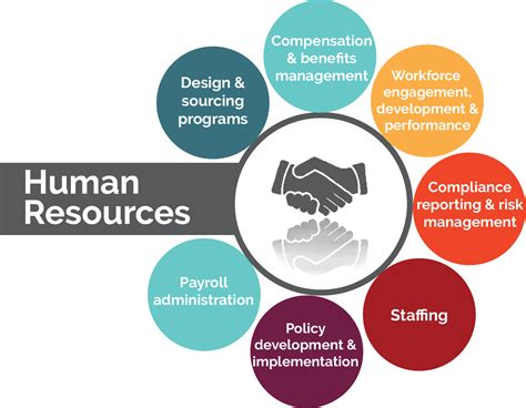 professional human service organizations