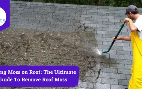 professional moss removal near me cost