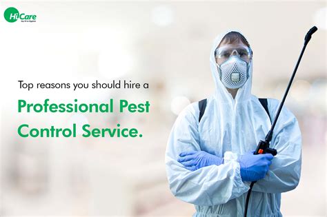 professional pest control services in aurora