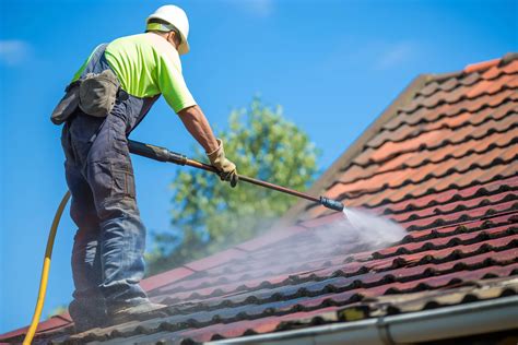 professional roof cleaning services