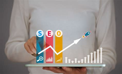 professional seo company ranking