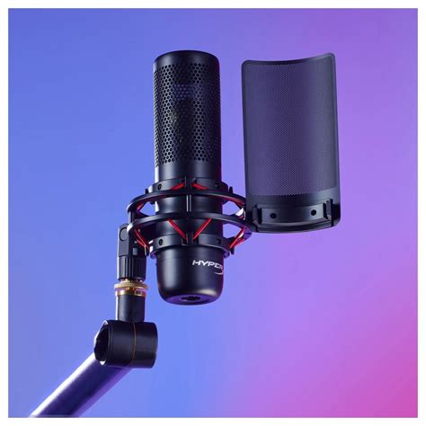 Professional Studio Microphone