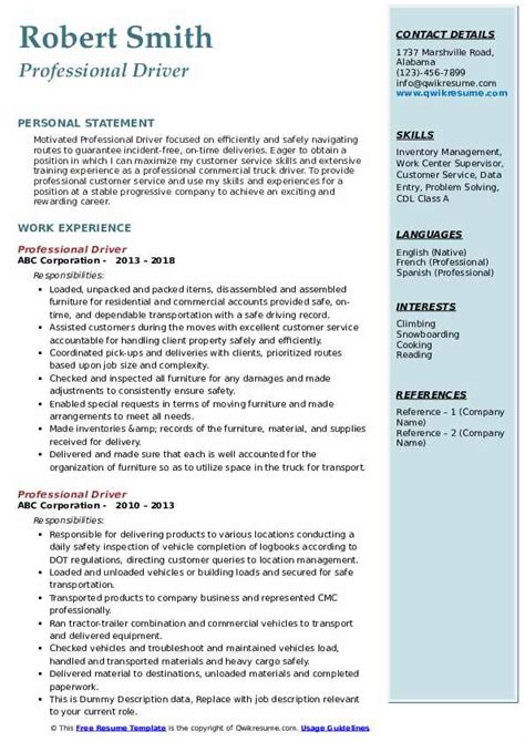professional summary example for driver