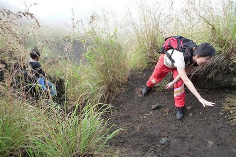 professional trekking guide
