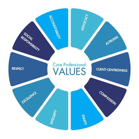 professional values examples for students