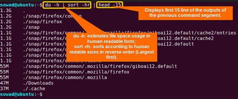 Profile Command In Linux