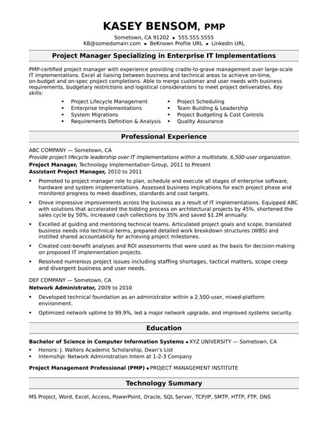 profile summary examples for project manager