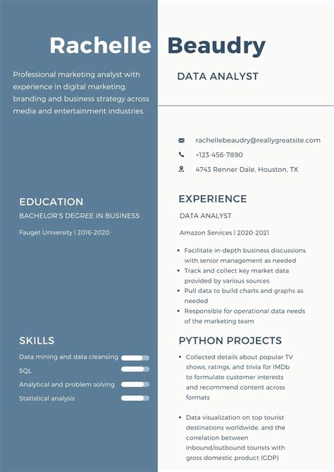 profile summary of a data analyst