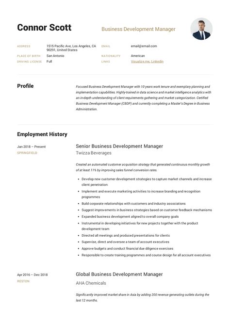 profile summary of business development manager