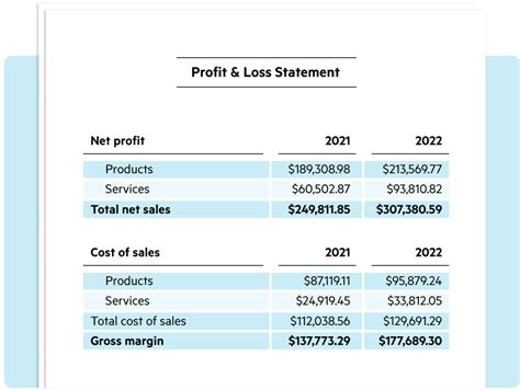 Profit and Loss Statement Introduction with Example Template