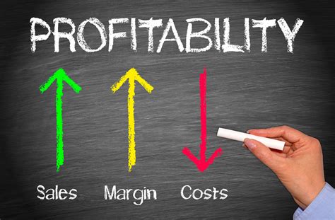 Profitability Challenges