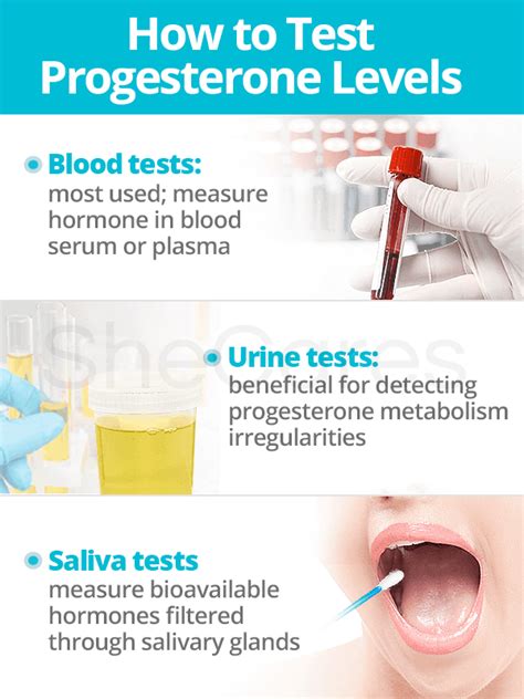 Understanding Progesterone Blood Test: Hormone Insights Revealed