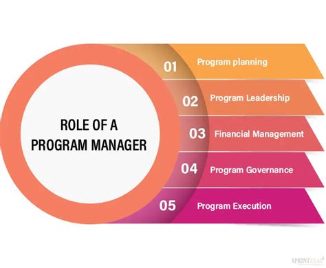 Program Management Skills