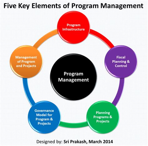 program manager definition pmi