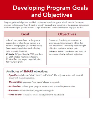 program objectives examples