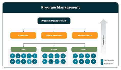 program structure and duration